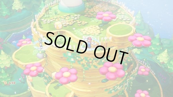 画像11: マリオ＆ルイージRPG　ブラザーシップ！【新品】 (11)