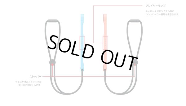 画像19: 【送料別】Nintendo Switch 2（日本語・国内専用）【新品】 (19)