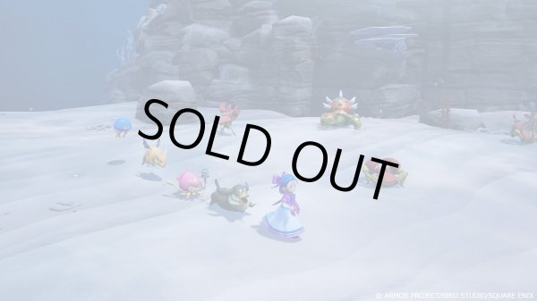 画像7: 【送料込】ドラゴンクエストモンスターズ４　枯れ木の国のビアンカ・フローラ マスターズ版　-Switch2【新品】 (7)