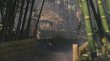 画像6: 【送料別】祇（くにつがみ）：Path of the Goddess【新品】 (6)