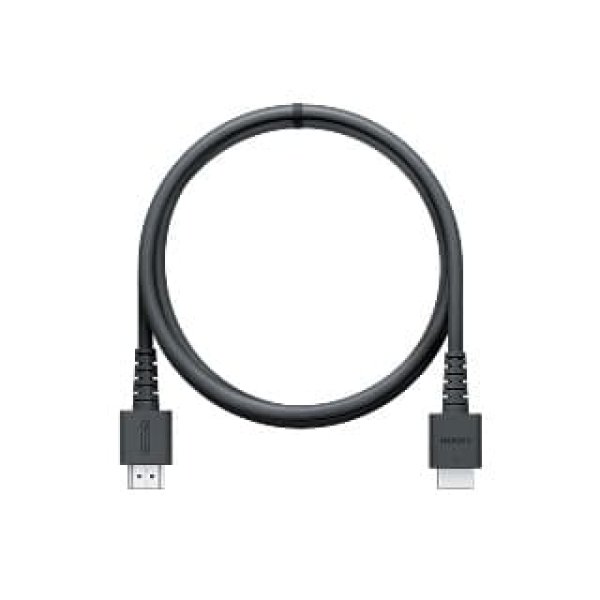 画像9: 【送料別】Nintendo Switch 2（日本語・国内専用） Pokemon LEGENDS Z-A Nintendo Switch 2 Edition セット+ SanDisk microSD Express Card 256GB for Nintendo Switch 2【新品】 (9)