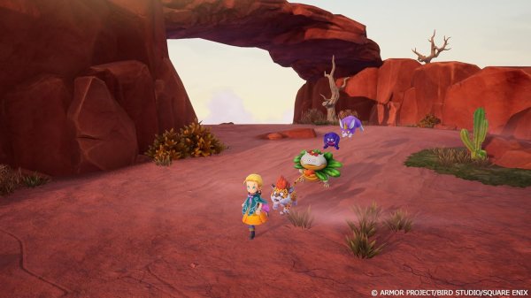 画像6: ドラゴンクエストモンスターズ４　枯れ木の国のビアンカ・フローラ	 -Switch【新品】 (6)