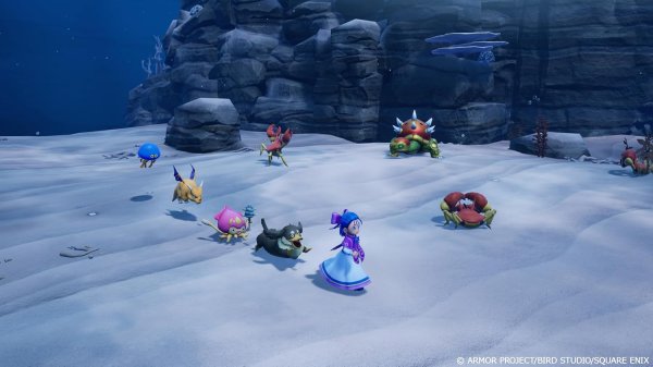 画像7: ドラゴンクエストモンスターズ４　枯れ木の国のビアンカ・フローラ	 -Switch【新品】 (7)