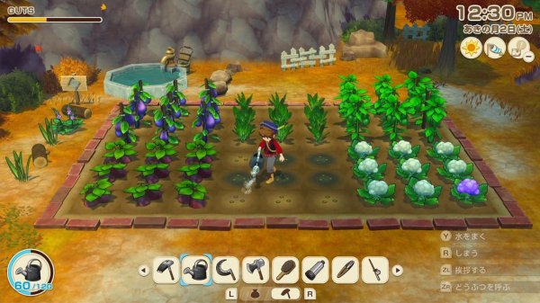 画像3: 牧場物語 Let's! 風のグランドバザール【新品】 (3)