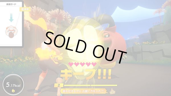 画像9: Switch　リングフィット アドベンチャー【新品】 (9)