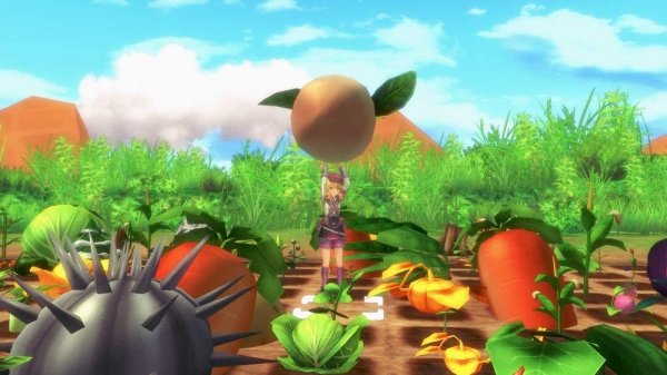 画像8: Switch ルーンファクトリー5 プレミアムボックス 【新品】 (8)